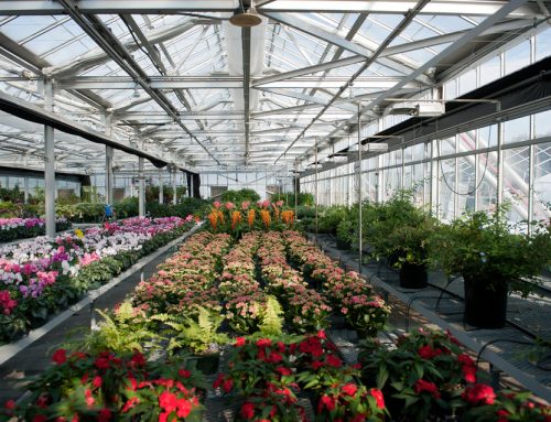 Understanding the greenhouse environment