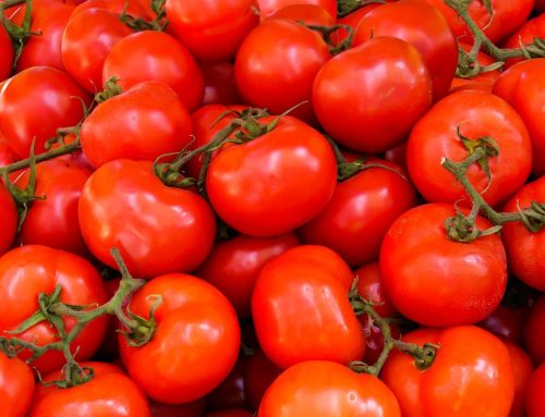 Understanding tomato taste and flavour